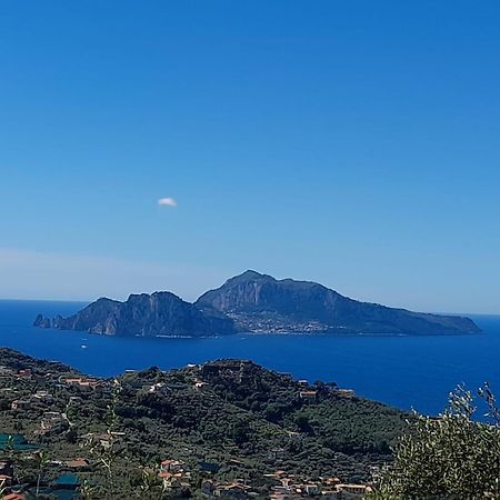 Al Calar Del Sole Villa Massa Lubrense Eksteriør bilde